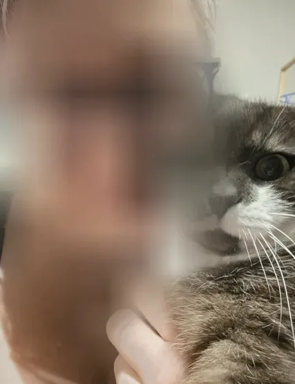 Ida, 40